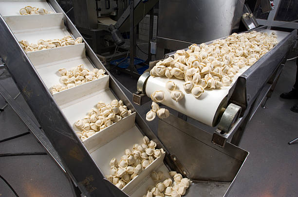 Milk Plant